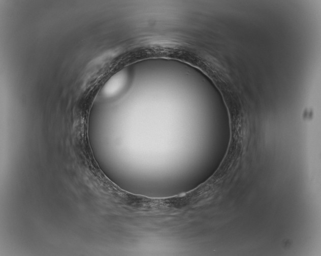 X0000111901061200907271152