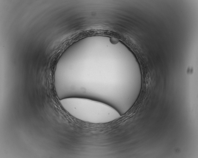 X0000111901062200907271152