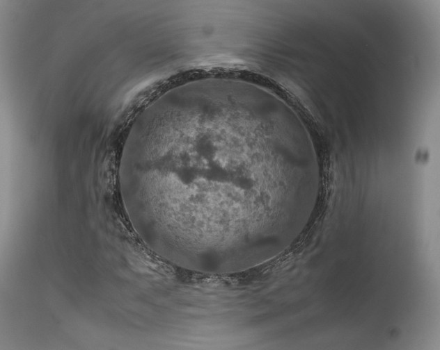 X0000111901063200907271152