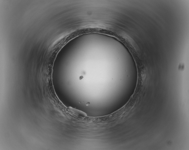 X0000111901064200907271152