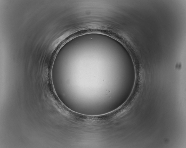 X0000111901065200907271152