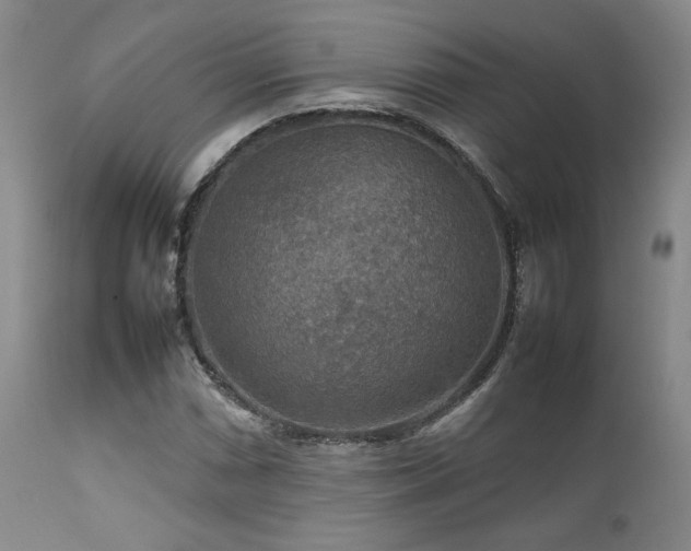 X0000111901066200907271152