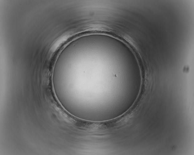 X0000111901067200907271152