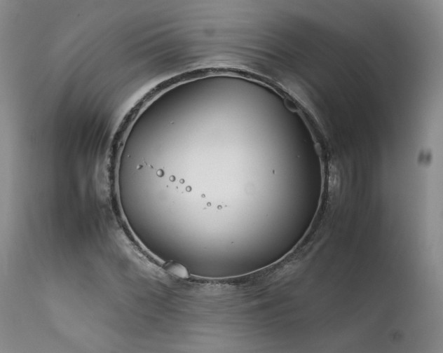 X0000111901068200907271152