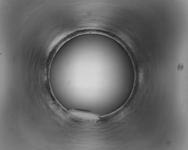 X0000111901069200907271152