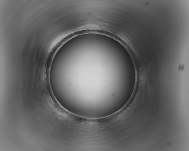 X0000111901070200907271152