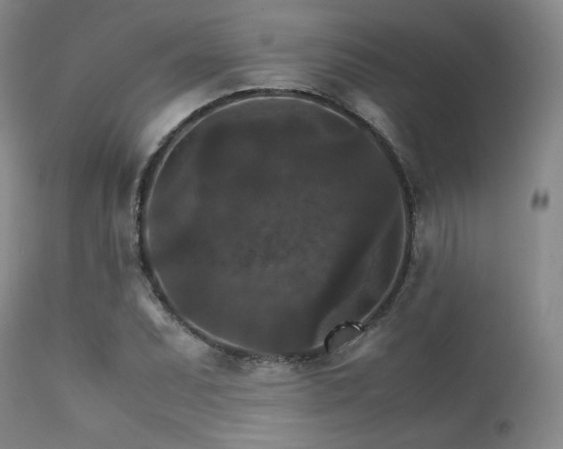 X0000111901071200907271152