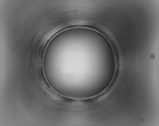 X0000111901073200907271152