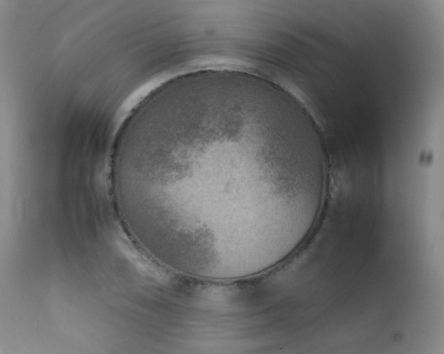 X0000111901074200907271152