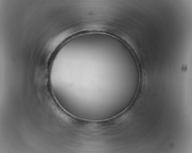 X0000111901075200907271152