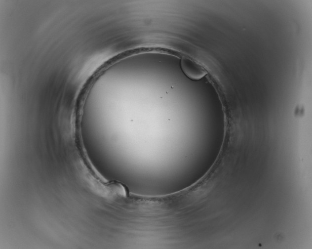 X0000111901076200907271152