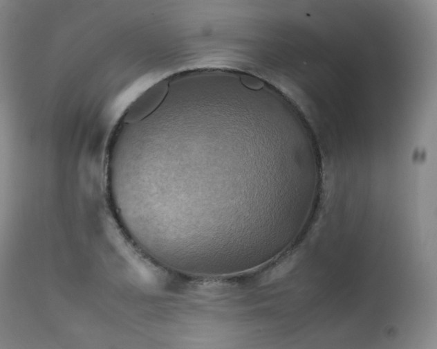 X0000111901077200907271152