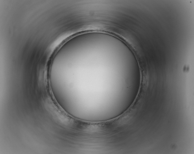 X0000111901078200907271152