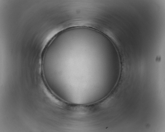 X0000111901079200907271152