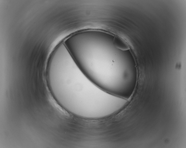 X0000111901080200907271152