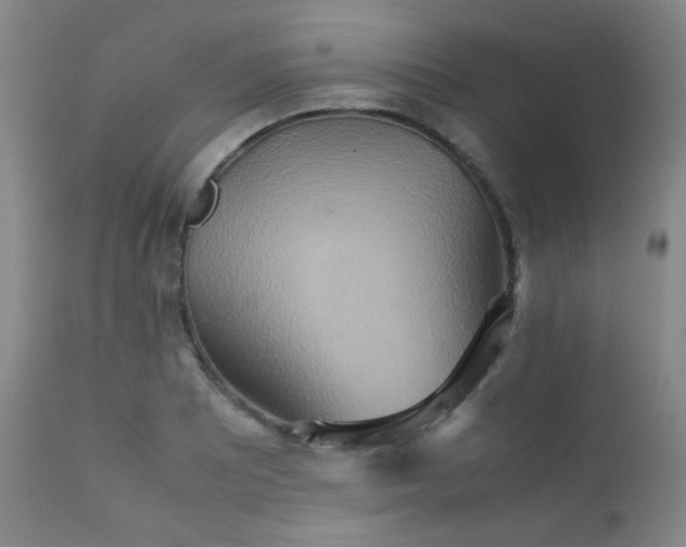 X0000111901081200907271152