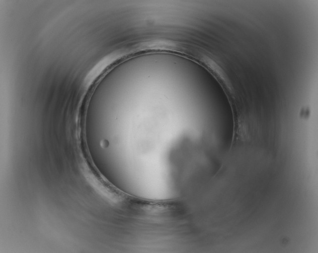 X0000111901082200907271152