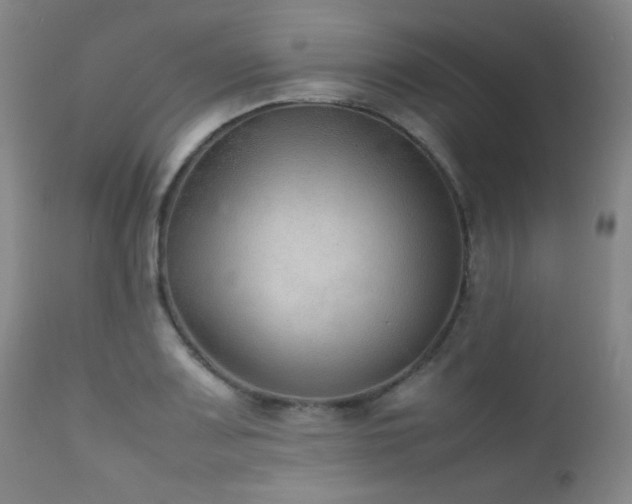 X0000111901083200907271152