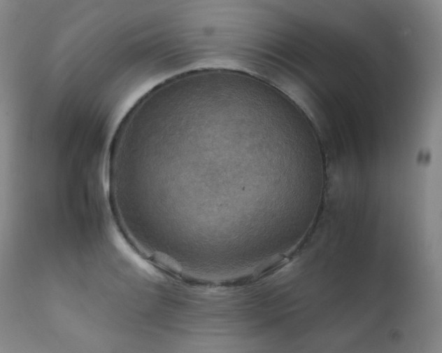 X0000111901084200907271152