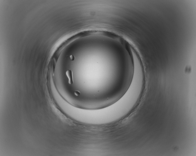 X0000111901085200907271152