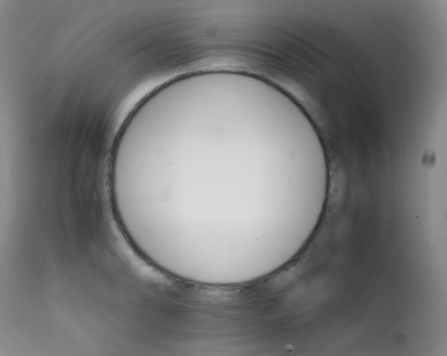 X0000111901086200907271152