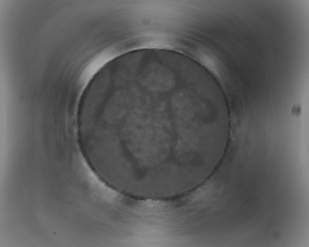 X0000111901087200907271152