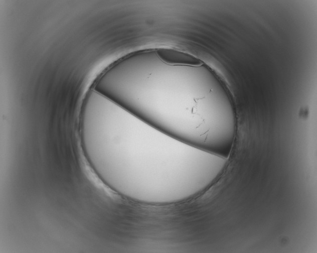 X0000111901088200907271152