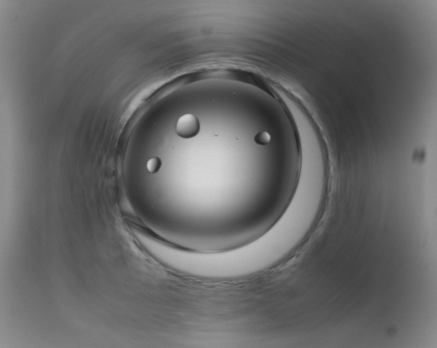 X0000111901089200907271152