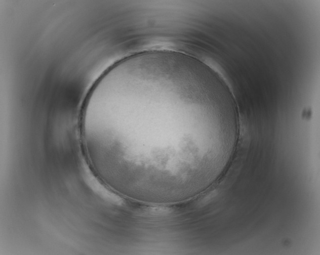 X0000111901090200907271152