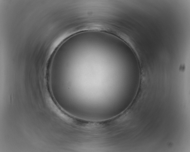 X0000111901091200907271152