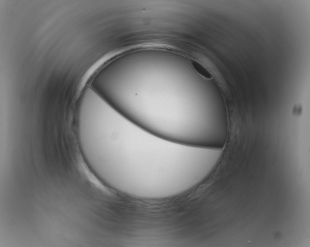 X0000111901092200907271152