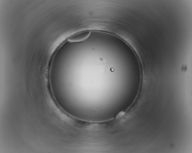 X0000111901093200907271152