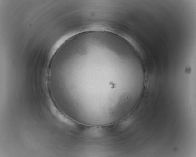 X0000111901094200907271151