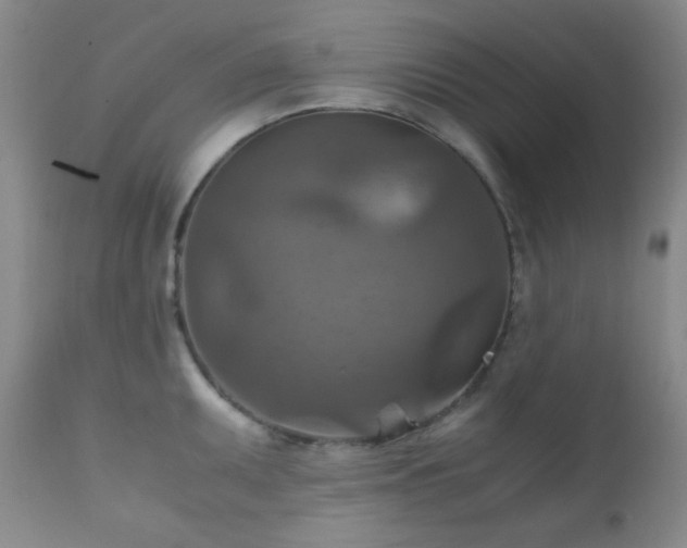 X0000111901095200907271151