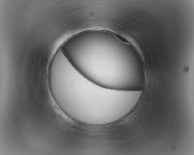 X0000111901096200907271151