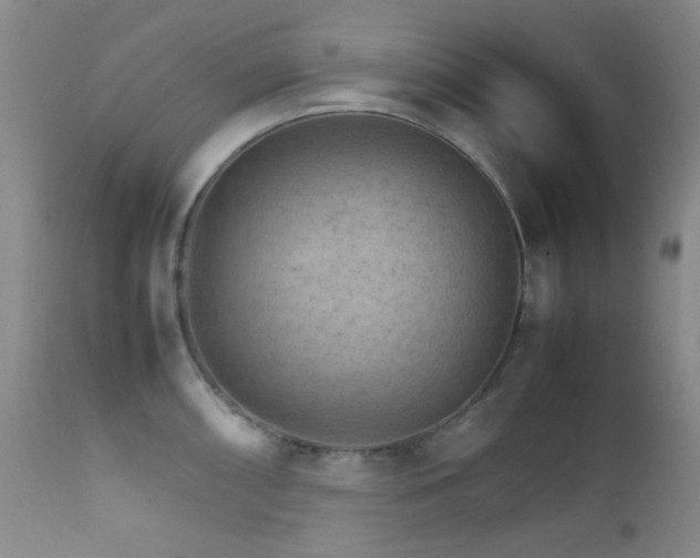 X0000111901098200907271151