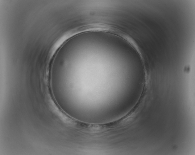 X0000111901099200907271151