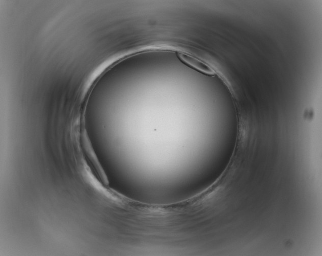 X0000111901100200907271151