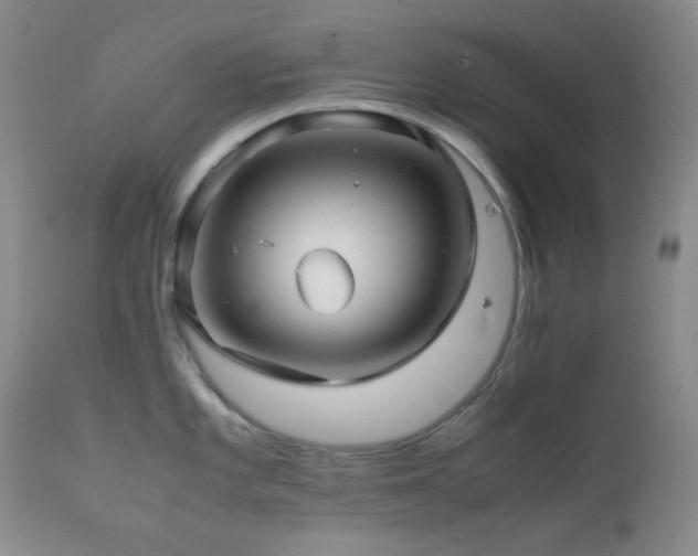 X0000111901101200907271151