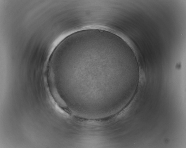 X0000111901102200907271151