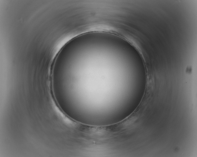 X0000111901103200907271151