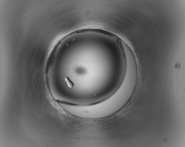 X0000111901104200907271151