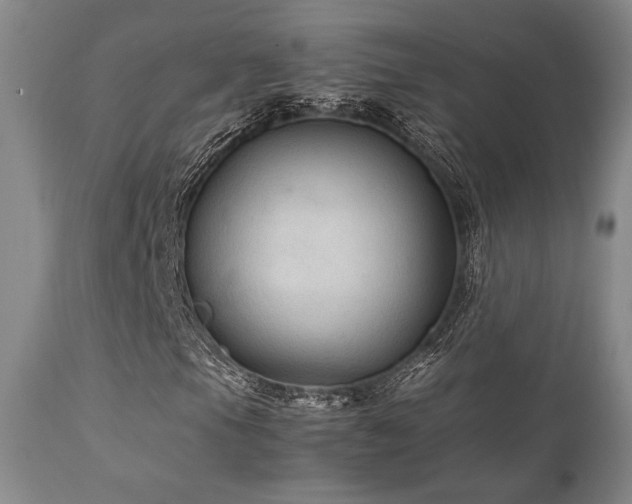 X0000111901105200907271151