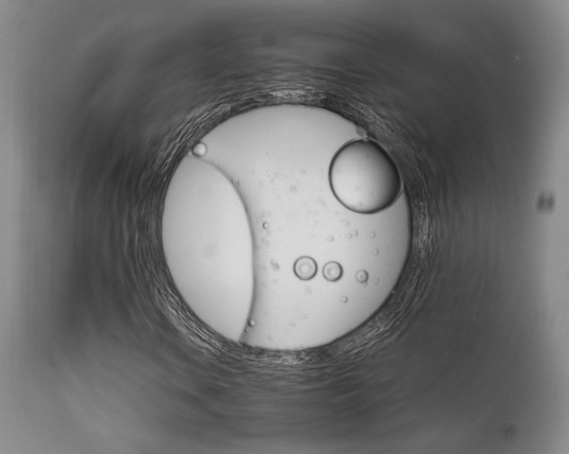 X0000111901106200907271151