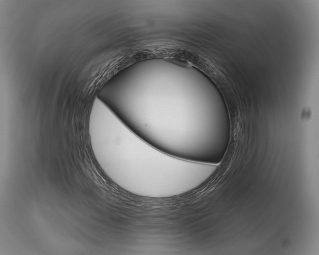 X0000111901108200907271151