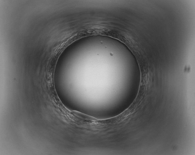 X0000111901109200907271151