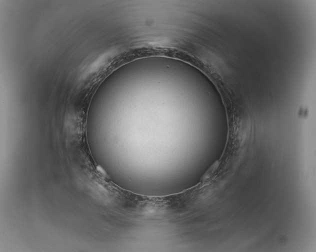 X0000111901110200907271151