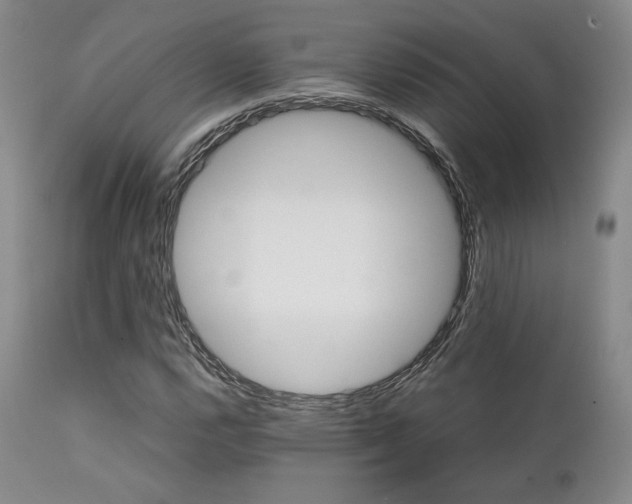 X0000111901112200907271151