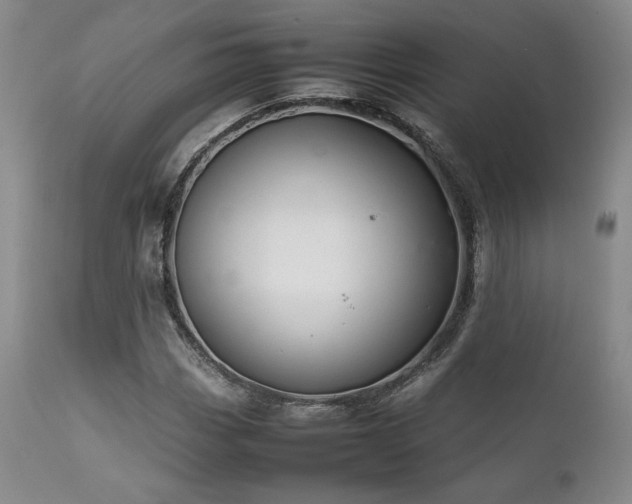 X0000111901113200907271151