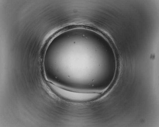 X0000111901114200907271151